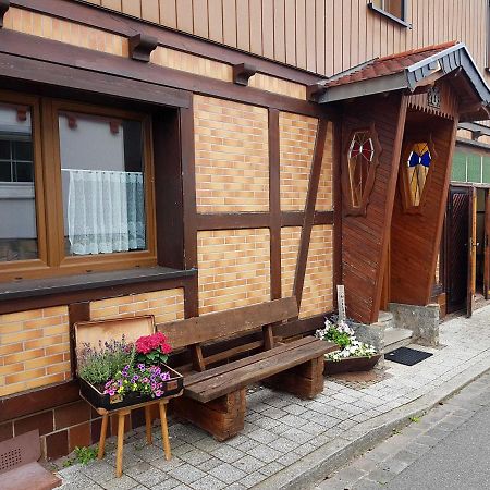 Ferienwohnung Am Kurpark Hasselfelde Exteriör bild